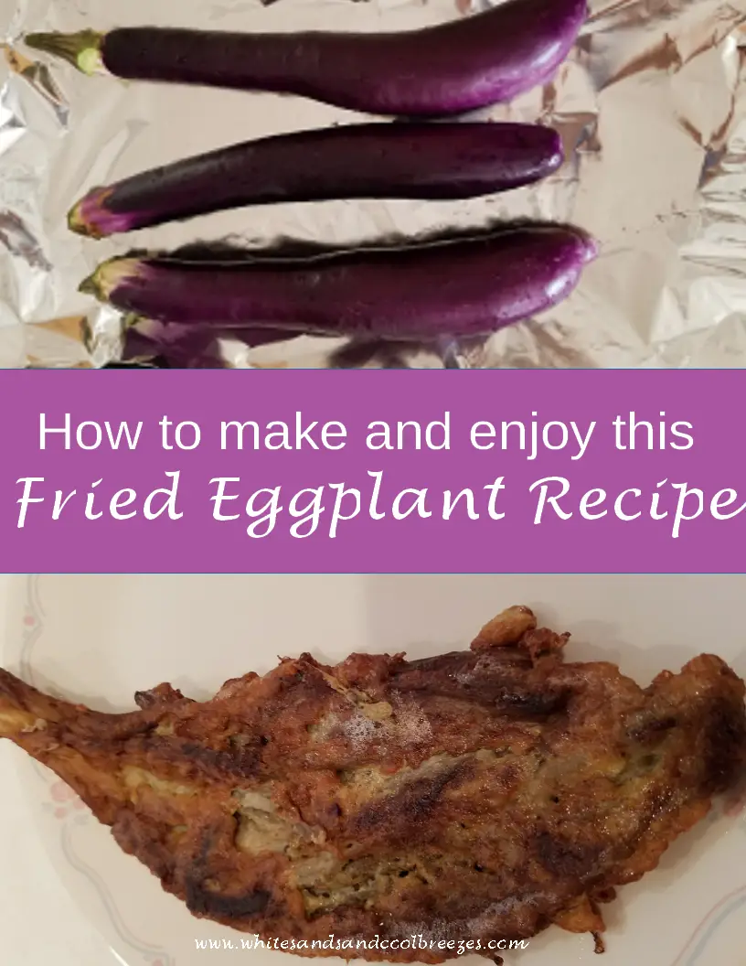 How To Make The Best Fried Eggplant Dish Ever White Sands and Cool