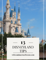 Disneyland castle with text overlay – 13 Disneyland Tips.