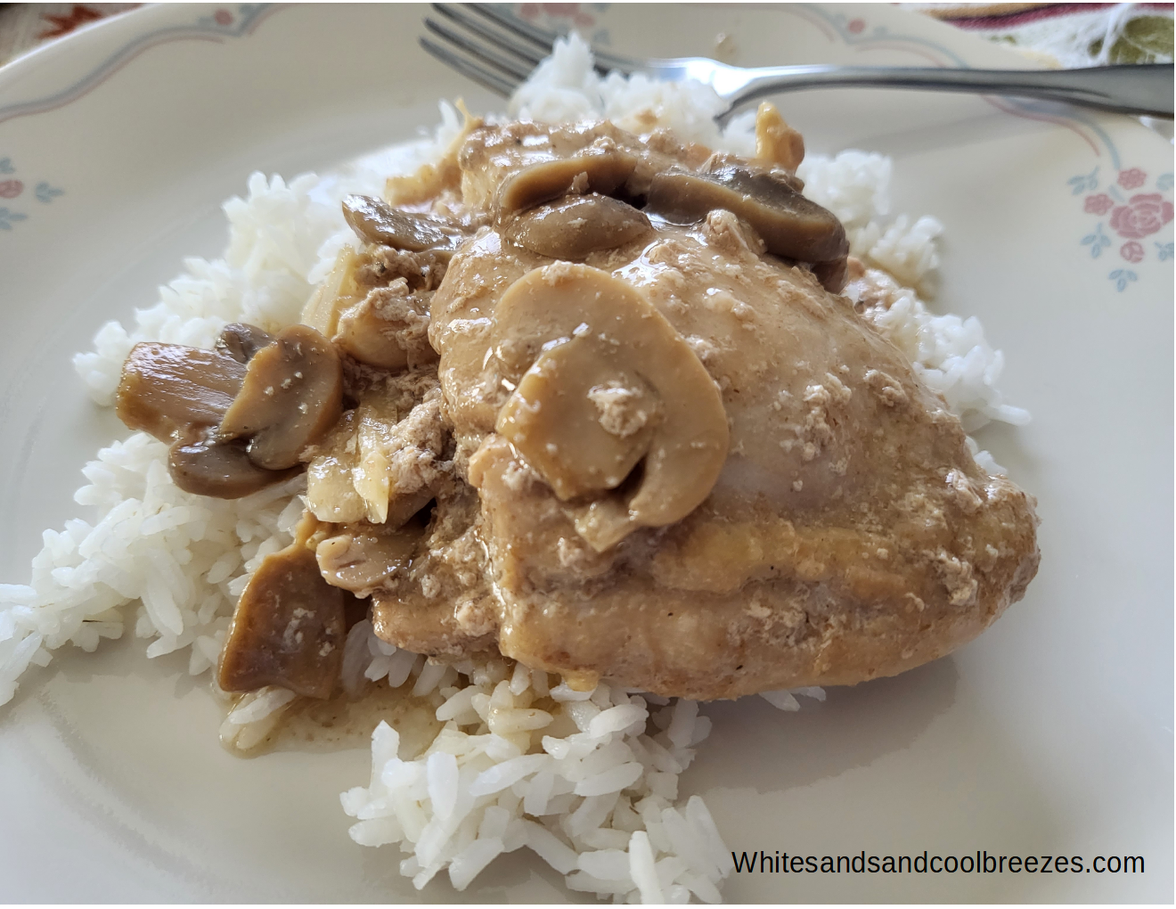 Soy sauce chicken with rice