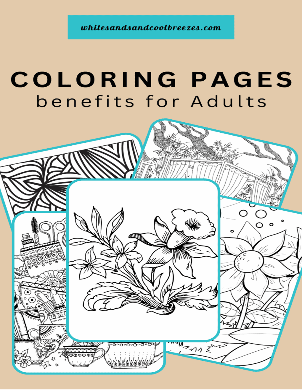 5 Reasons Coloring Books For Adults Are So Beneficial - White Sands and