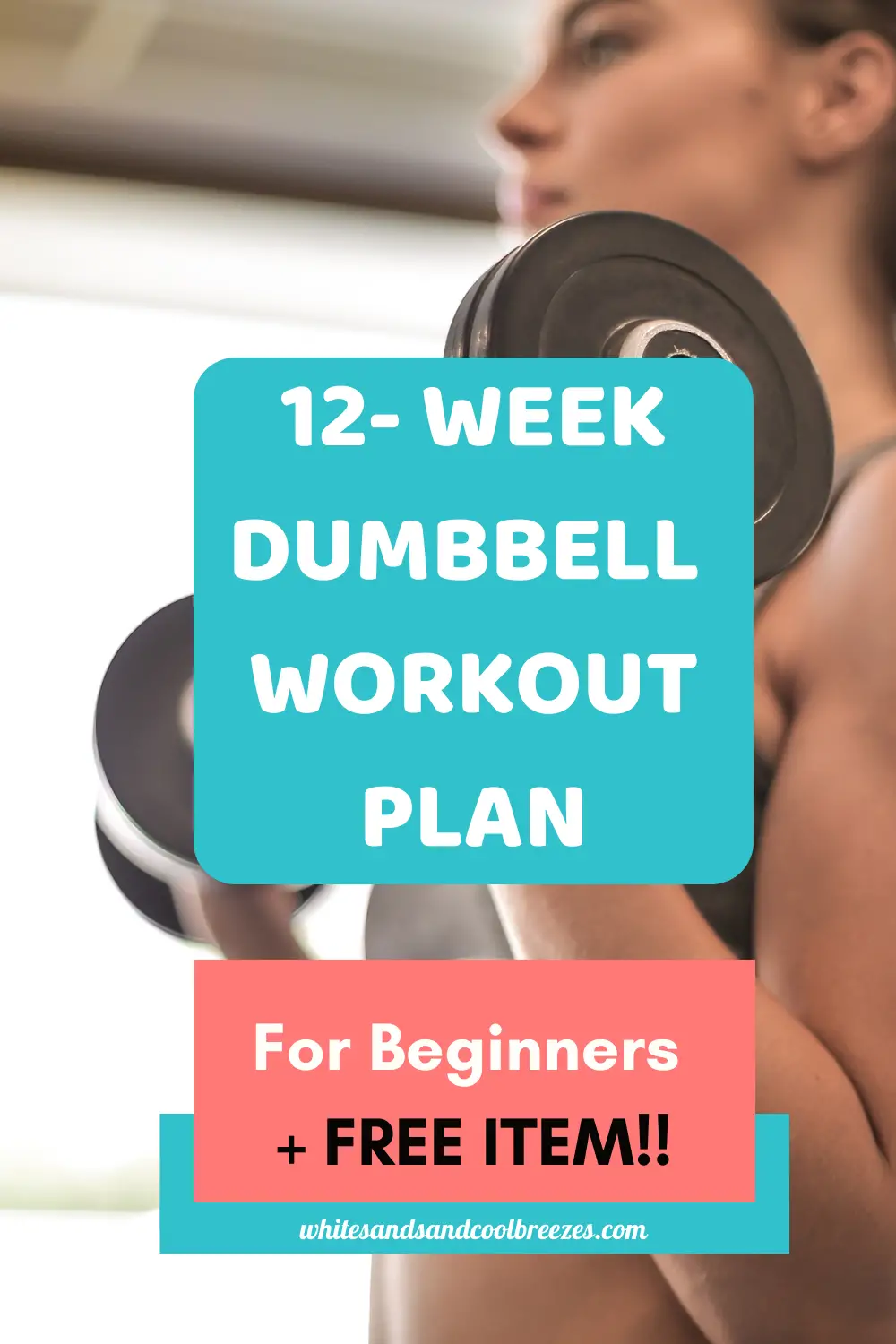 12-week dumbbell workout plan